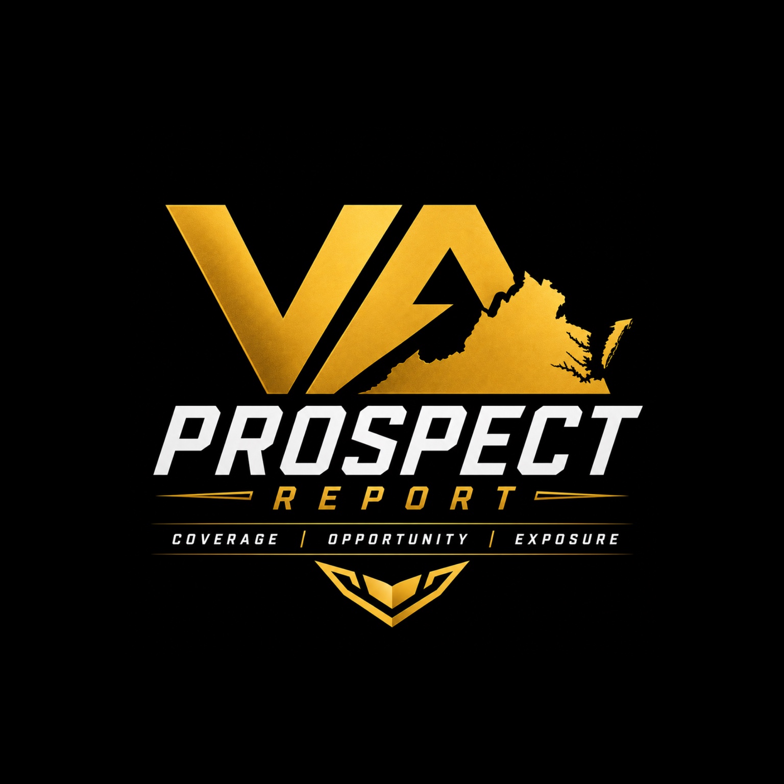 VA Prospect Report — Coverage, Opportunity, Exposure